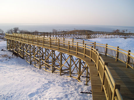 「知床高架木道」2